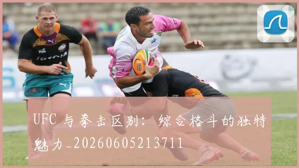 UFC 与拳击区别：综合格斗的独特魅力_20260605213711