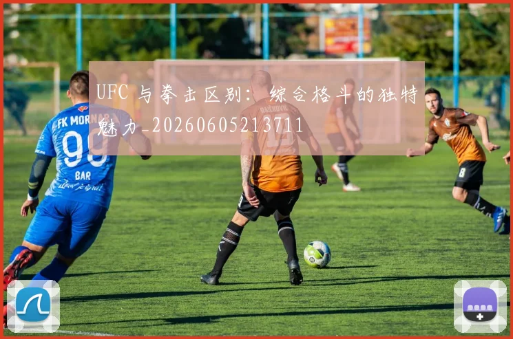 UFC 与拳击区别：综合格斗的独特魅力_20260605213711